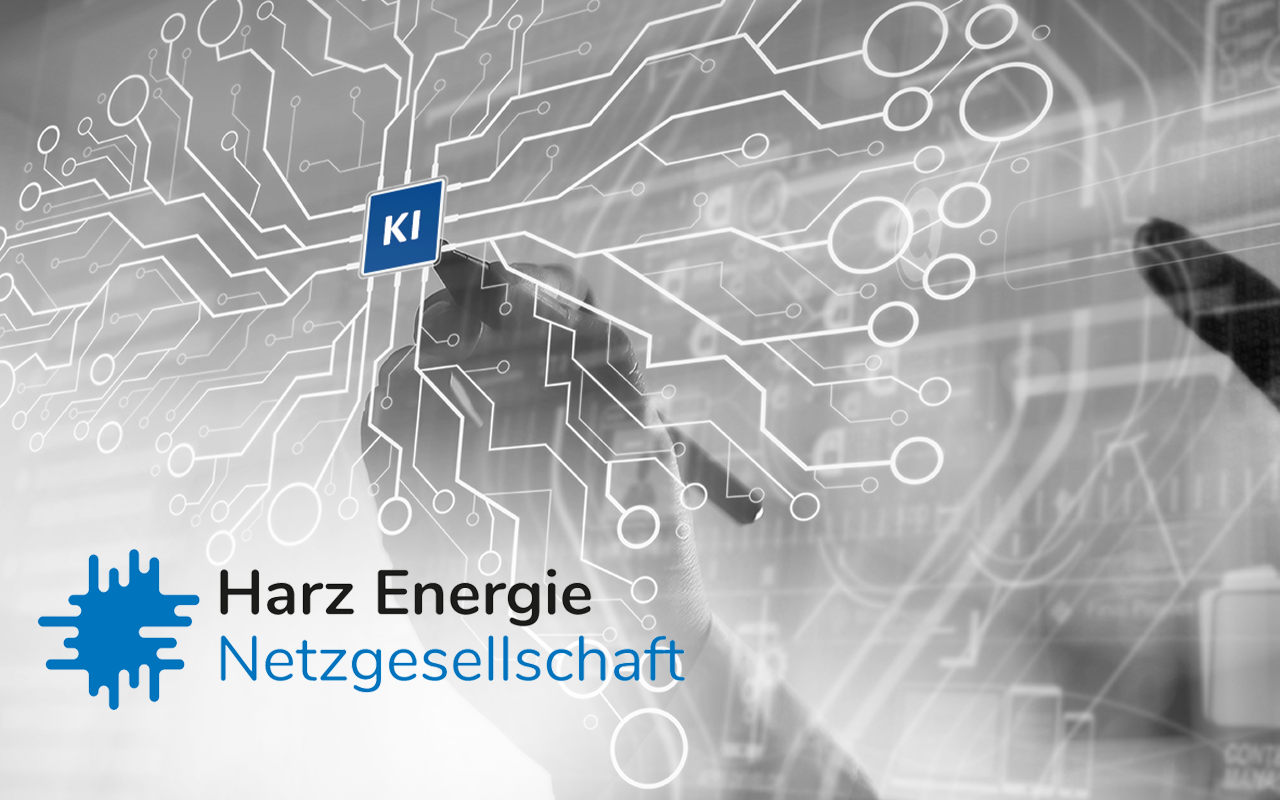 DSC KI-basierte Zählerdatenplausibiliserung bei Harz Energie Netzgesellschaft