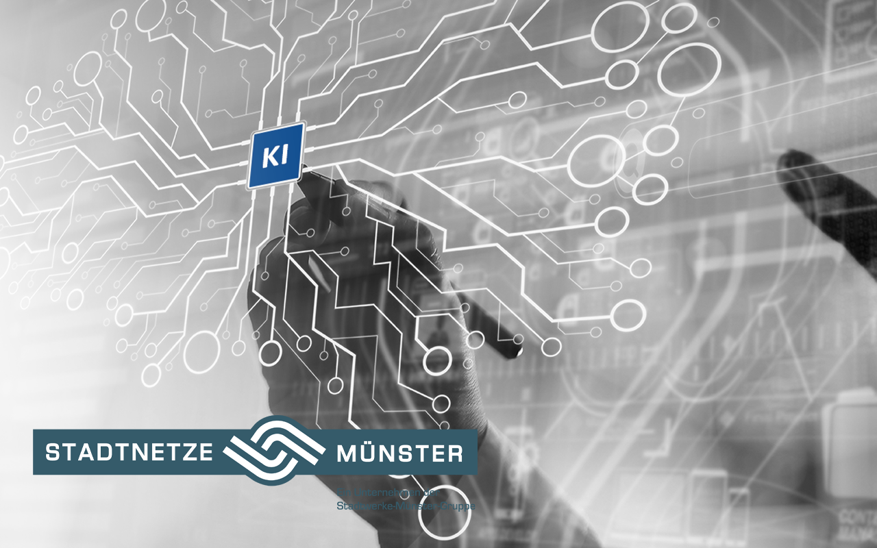 Stadtnetze Münster GmbH setzt auf die DSC Add-On-Lösung zur KI-basierten Zählerdatenplausibilisierung