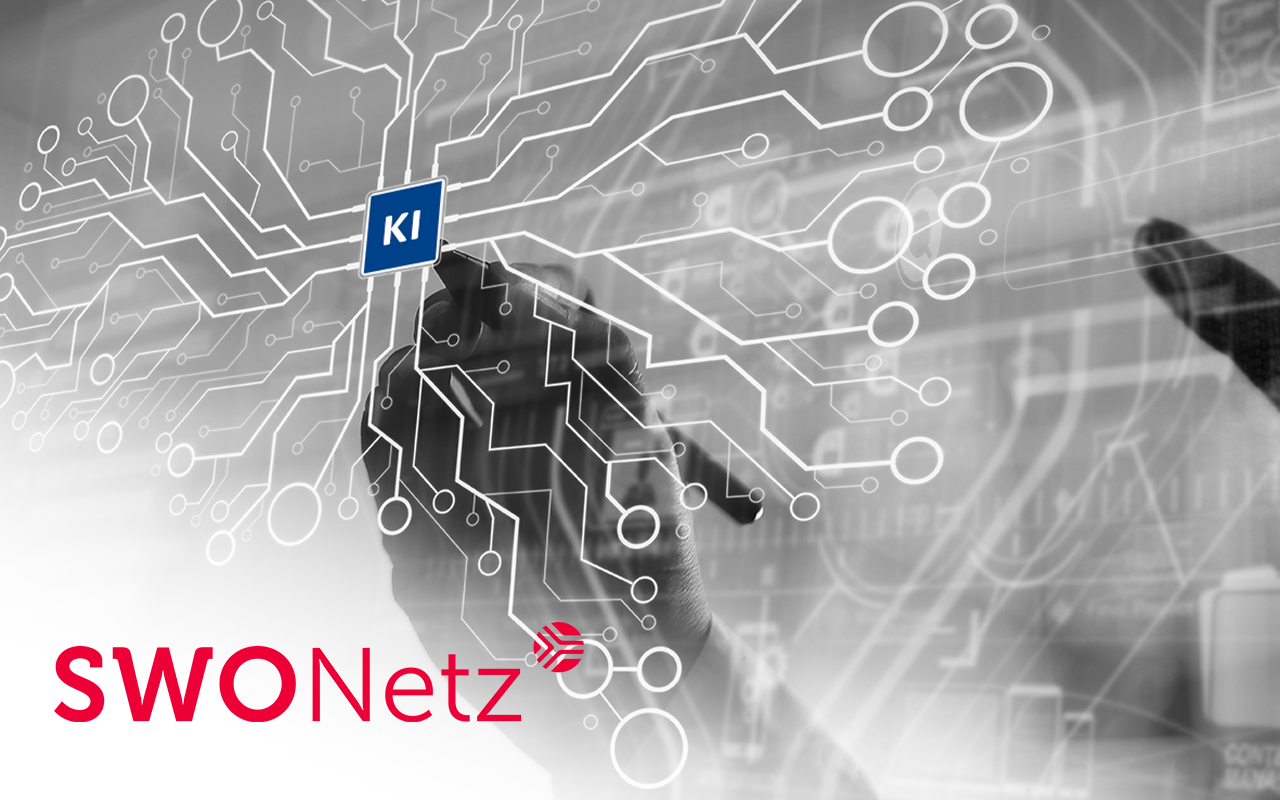 SWO Netz GmbH setzt auf die DSC Add-On-Lösung zur KI-basierten Zählerdatenplausibilisierung